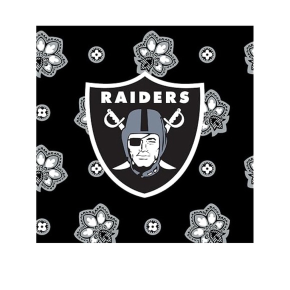 Vera Bradley NFL Las Vegas Raiders Small Cotton Crossbody Bag (Black Print) NWT - Picture 3 of 7